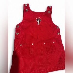 Big dogs 18-24 month jumper dress